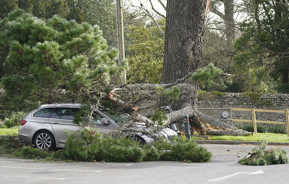 A fallen branch on a car in a car park in Lyme Regis, west Dorset, as Storm Eunice hits the south coast on 18 February 2022