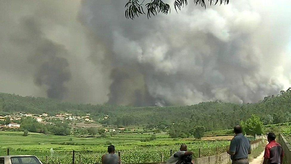 Woodland spews smoke in Portugal as one of hundreds of wildfires blazes