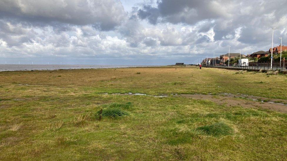 Grass across the beach