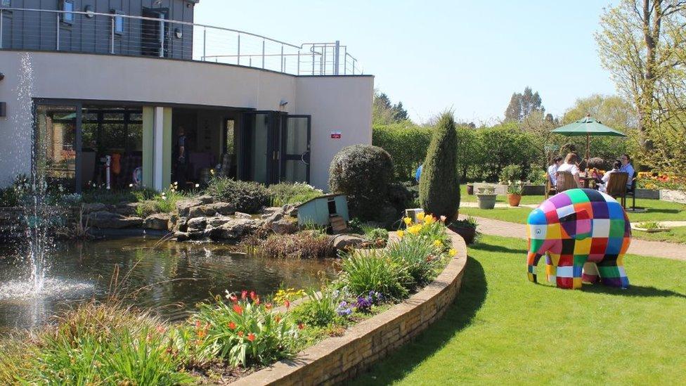 Elmer at the garden of St Elizabeth Hospice's HQ