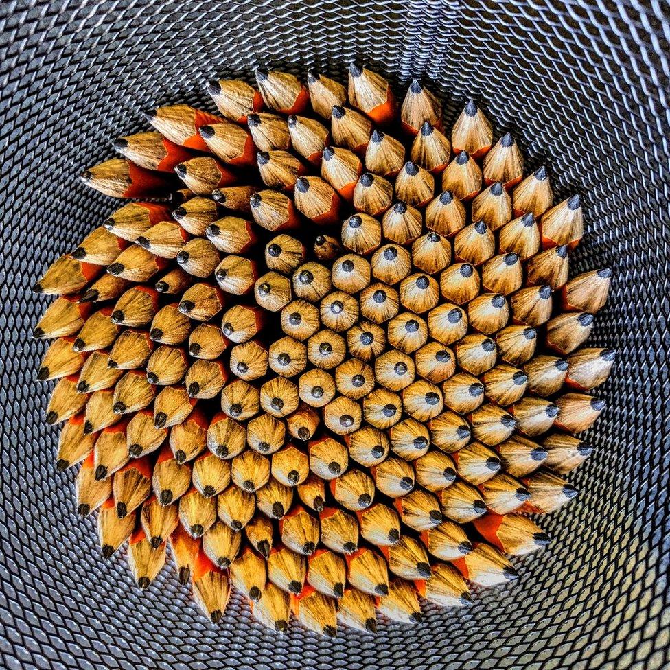 Wooden pencils