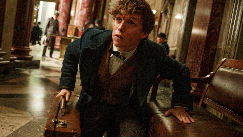 Eddie Redmayne as Newt Scamander