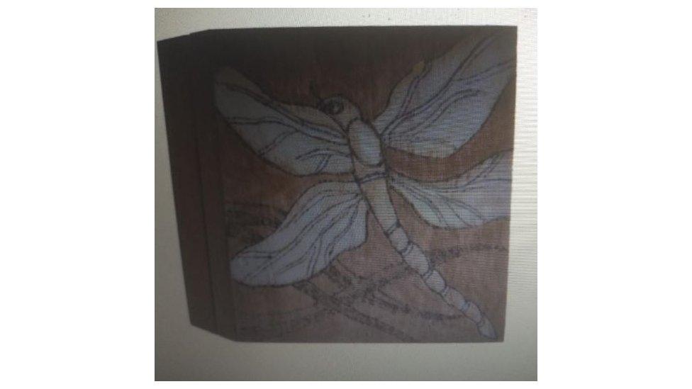 The wooden box, featuring a picture of a dragonfly, which contained Dennis's ashes