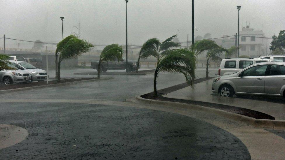 View of a street in Manzanillo, Colima state, Mexico on October 23, 2015, during hurricane Patricia