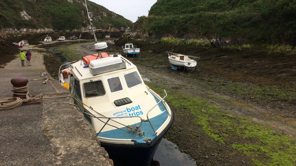 Gower Ranger boat