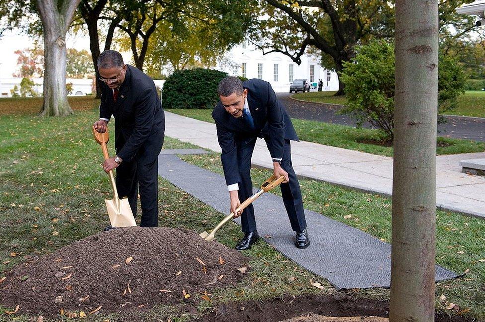 Obama helps the former chief usher to plant a tree