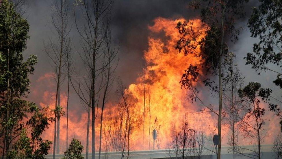 Fire and smoke is seen on the IC8 motorway during a forest fire near Pedrogao Grande, in central Portugal, 18 June 2017.