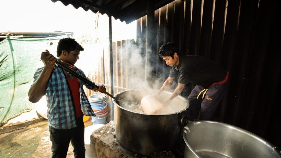 Cooking food for dogs