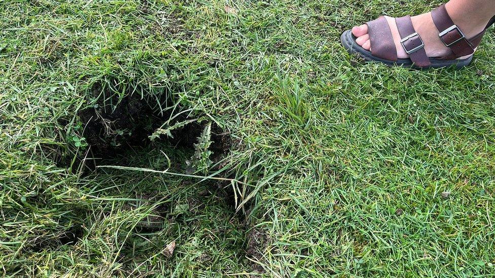 Hole in the grass