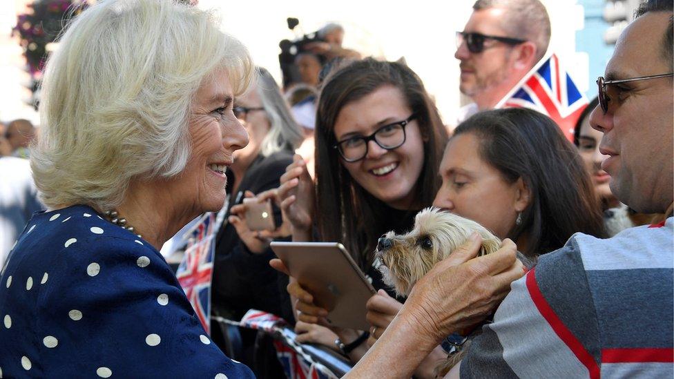 The Duchess of Cornwall in Salisbury