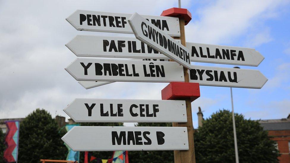 arwyddion Eisteddfod