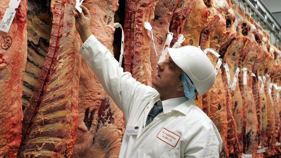 Butcher inspecting meat