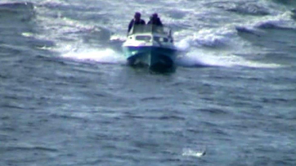 Boat speeding near protected seabirds