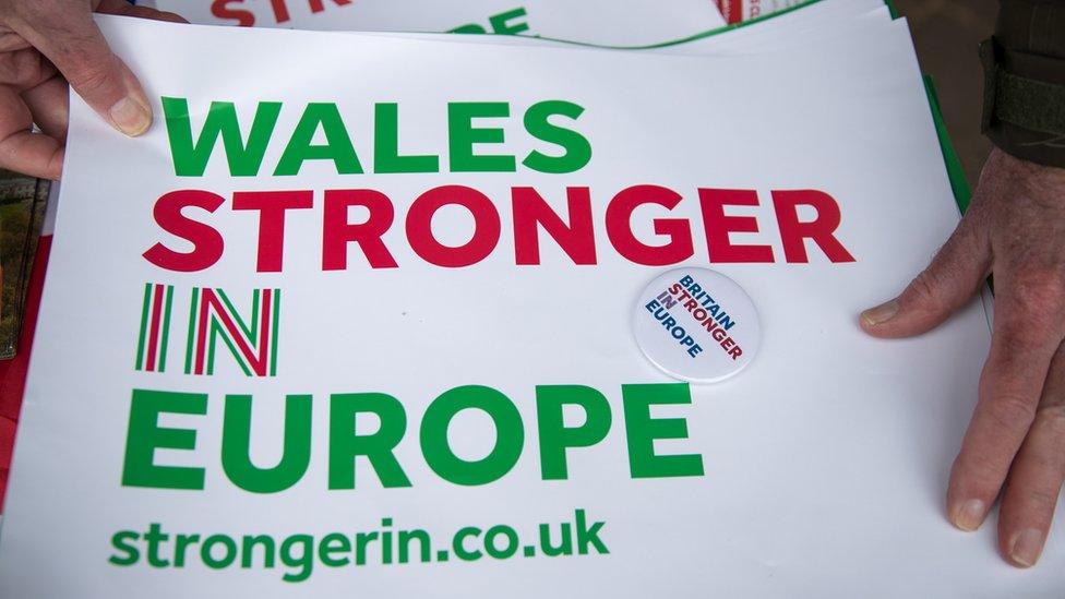 Wales Stronger In Europe