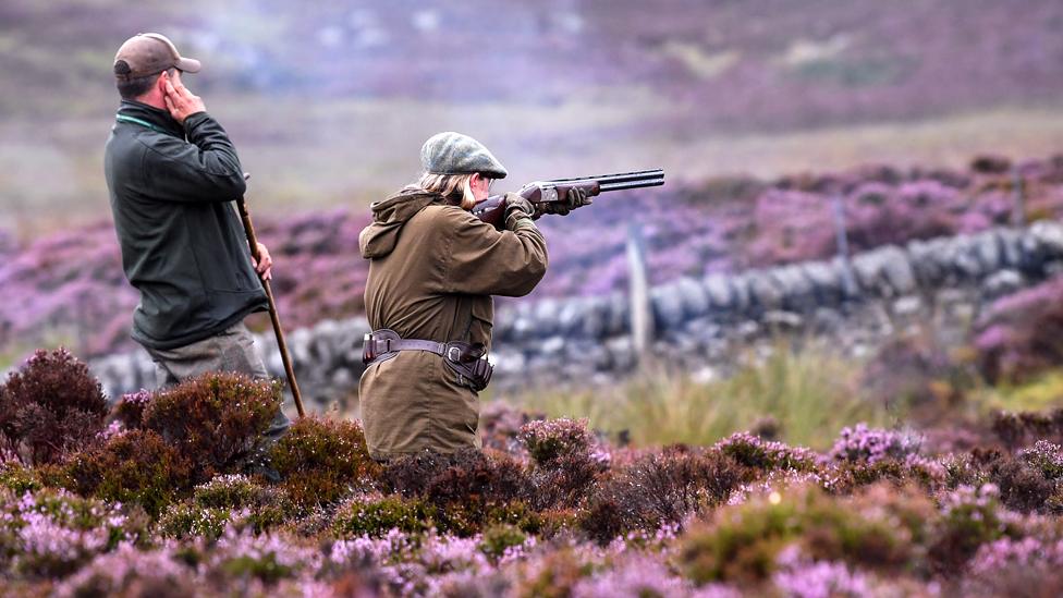 Grouse shooting in Dunkeld in Scotland