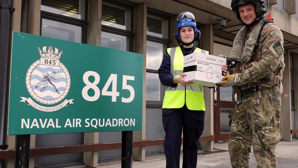 Chicks handed over to RSPCA