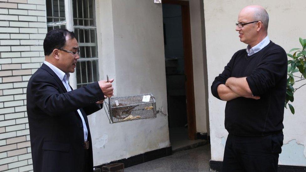 Prof Zhang and Prof Holmes examine a rat in a trap during an infectious disease research trip to China in 2013