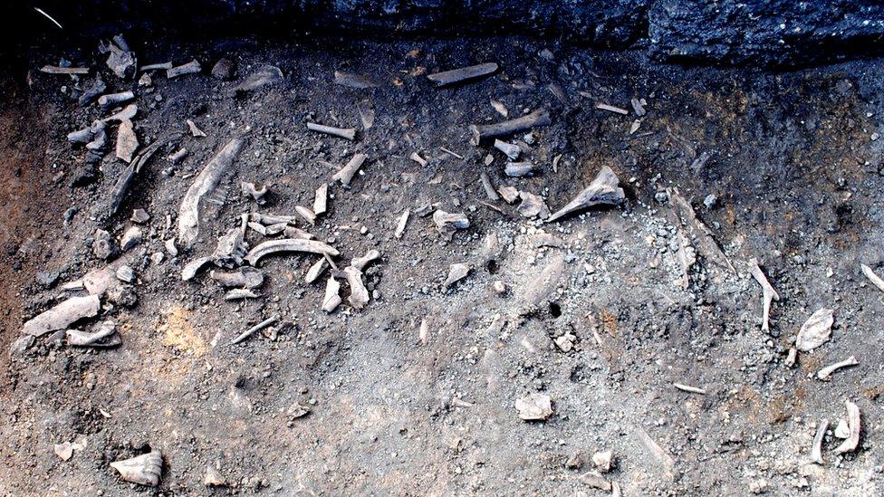 Butchered animal bones were found at the Little Carlton site