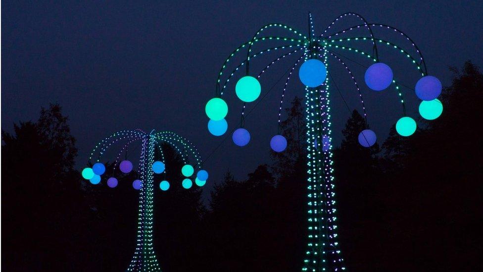 Dan Fox's Luminosi Trees