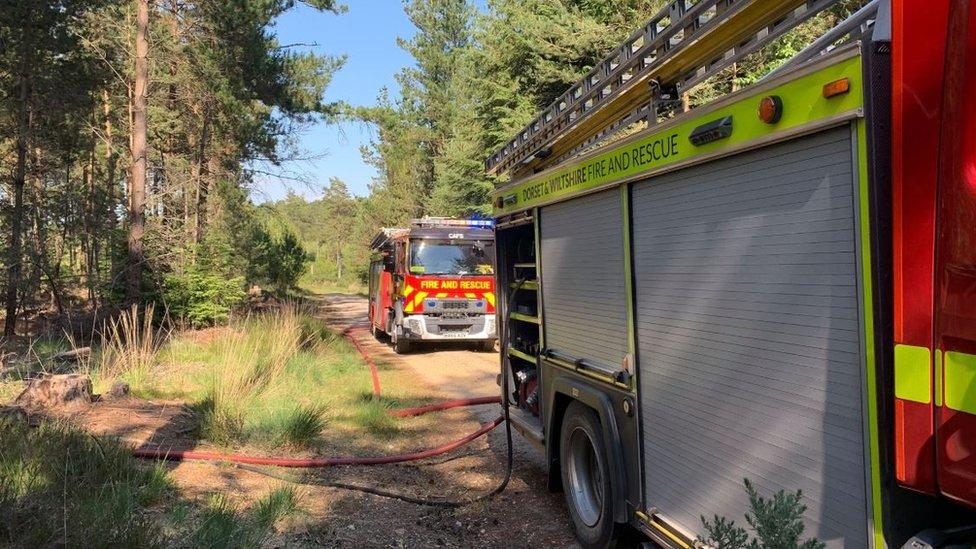 Fire crews at Wareham Forest