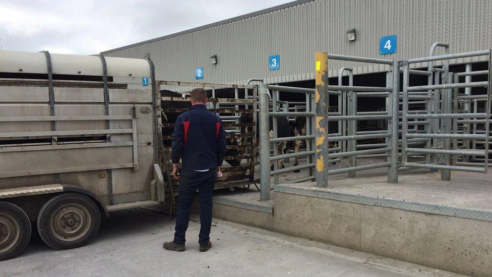 Farmers were asked to deliver their stock then leave the mart