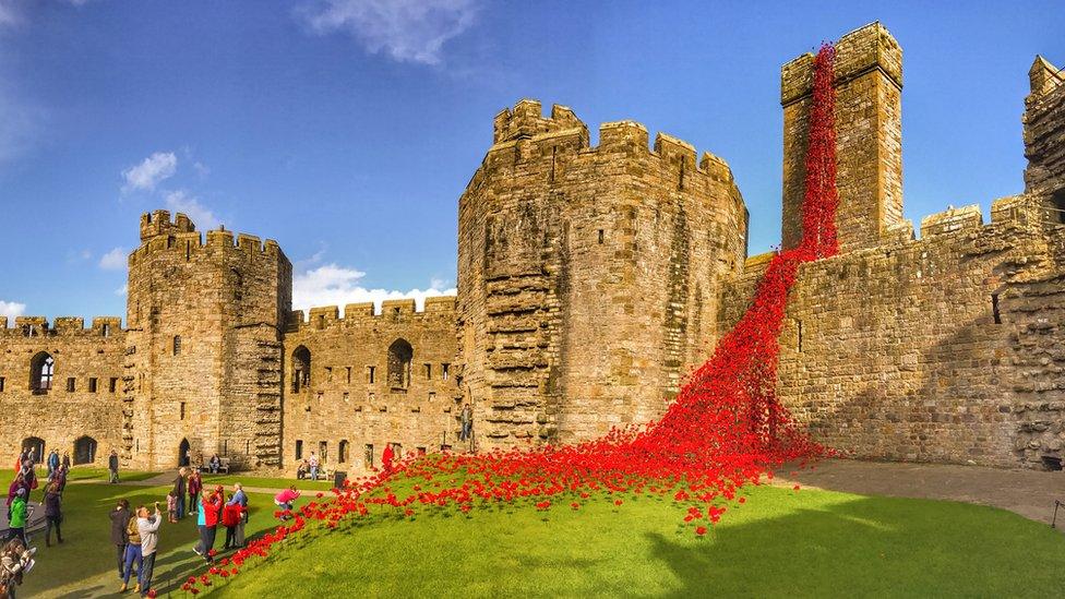 The Weeping Window poppies display at Caernarfon Castle