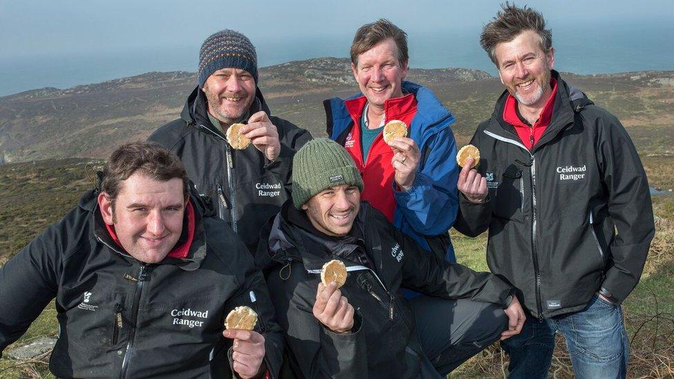 National Trust rangers with Welsh cakes