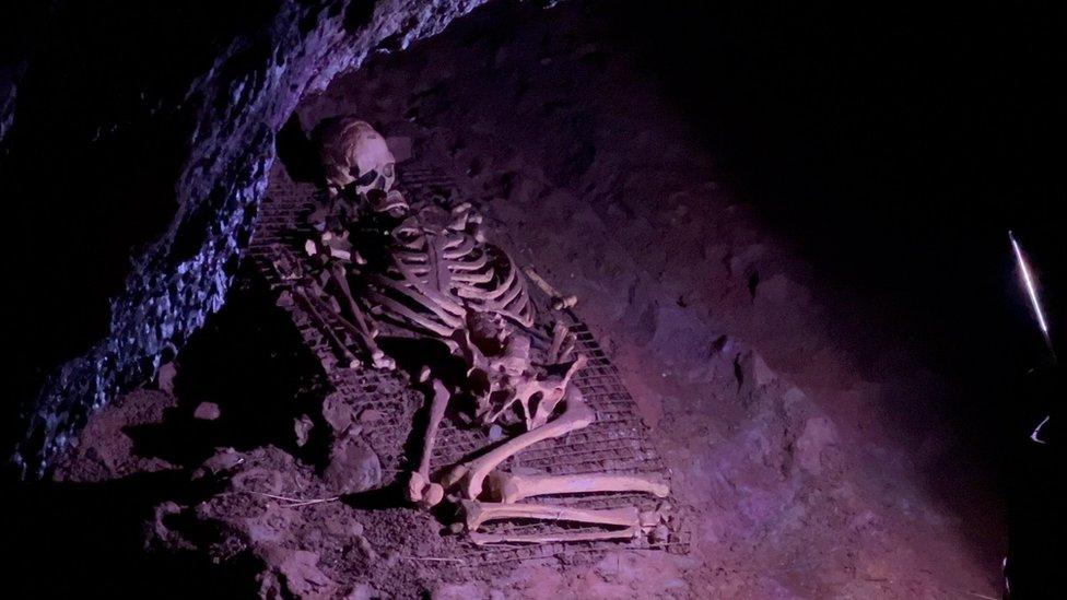 The Cheddar Man skeleton