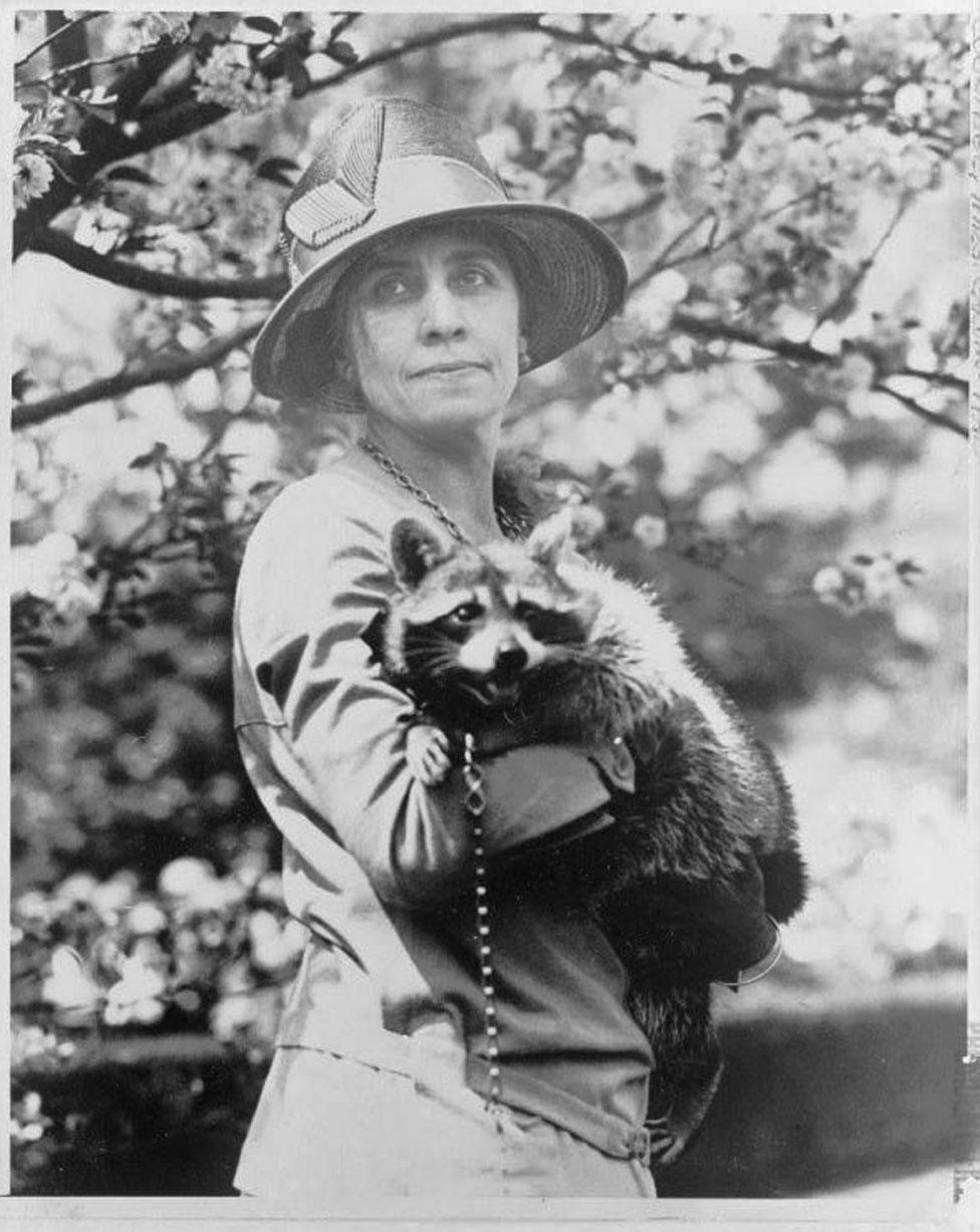 First Lady Grace Coolidge holds a raccoon on a leash