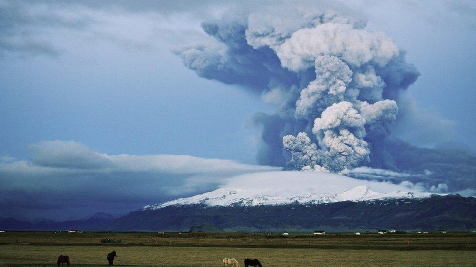 horses graze in a field as the Eyjafjallajokull volcano erupts in the background with smoke and ash rising high into the sky