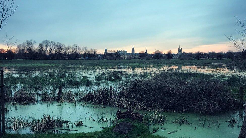 Christ Church Meadow