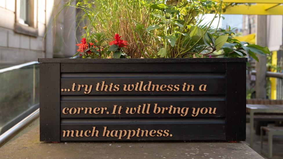 Derek Jarman quote on planter