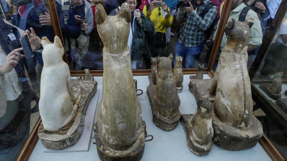 Cat statues that were found inside a cache at the Saqqara area near its necropolis, south of Cairo