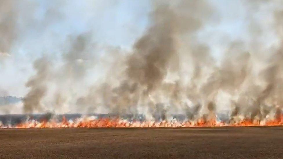 A major fire in a field