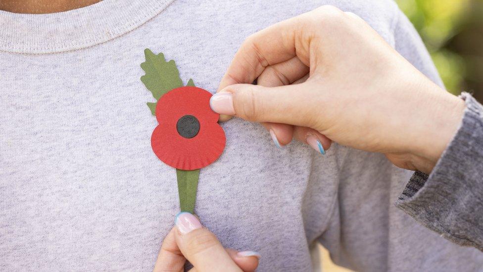 A single-use plastic free poppy