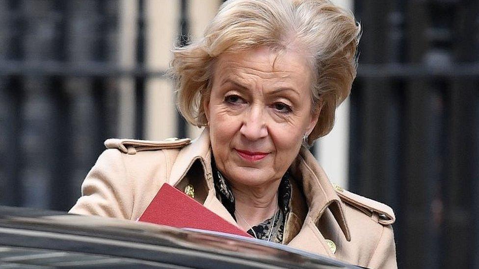 Andrea Leadsom