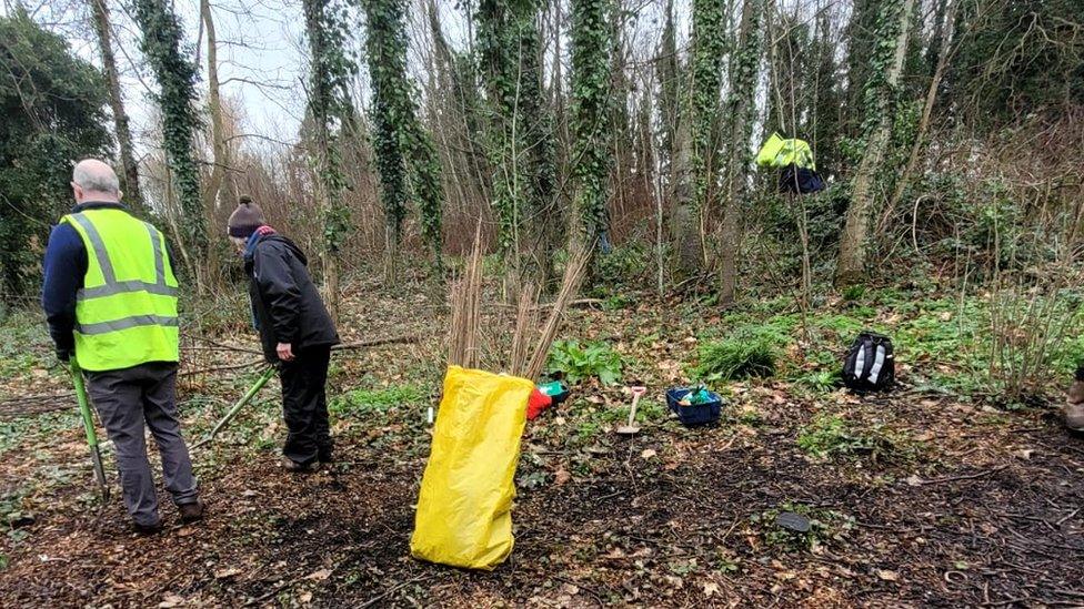 tree planting in orangefield park belfast