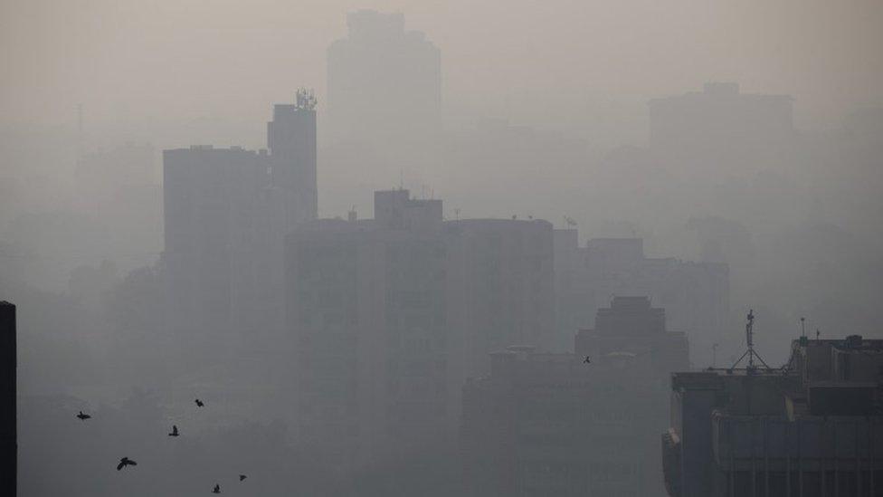 birds fly in the morning as buildings are covered with smog in New Delhi, India