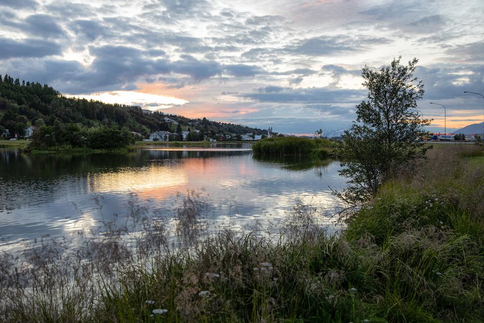 Cloudy sky reflected on water, surrounded by grass and trees