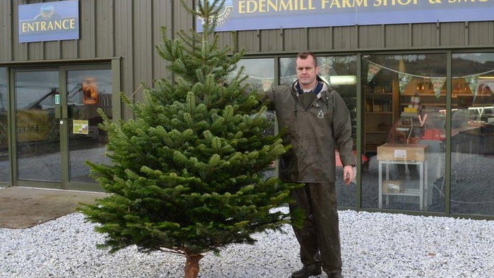 Mark Gibson from Edenmill farm says Christmas trees provide extra business in the winter months