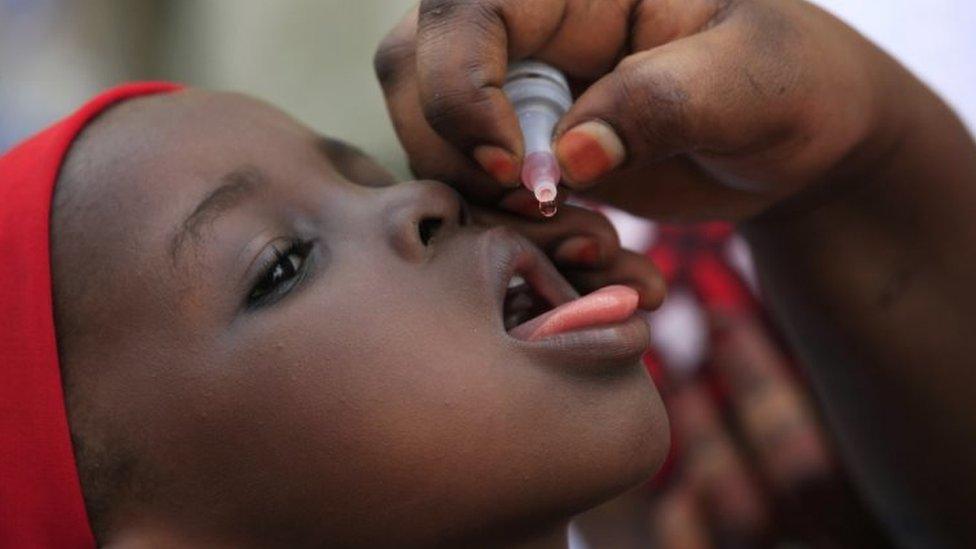 A polio vaccine is given to a child in Nigeria. File photo