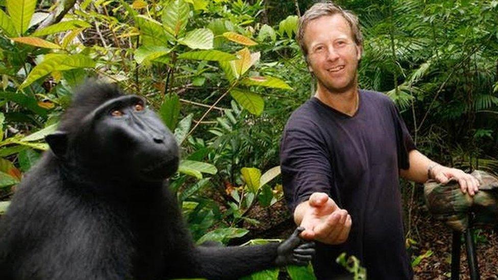 David Slater with macaque moneys in Indonesia