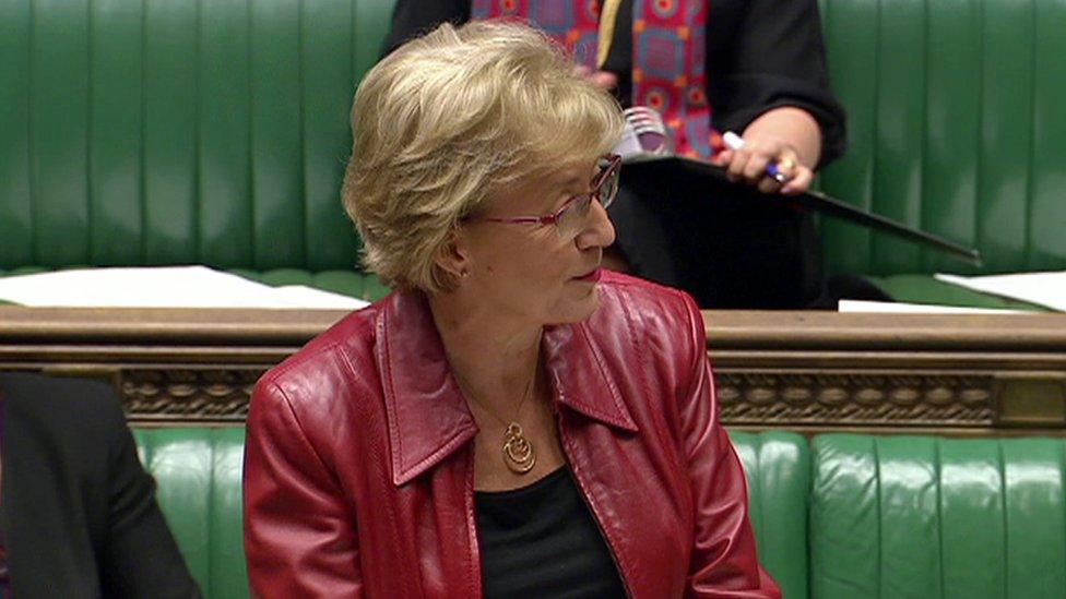 Andrea Leadsom