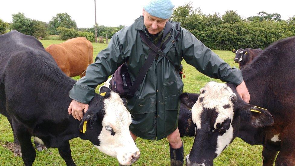 Jay Wilde with his cows