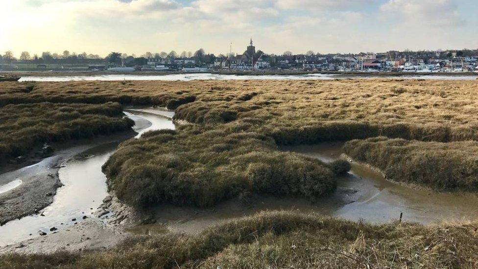 Sal marshes in Maldon, Essex