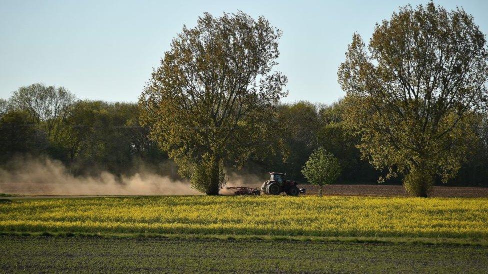 Tractor in a farm