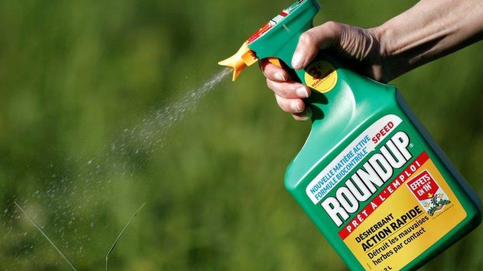 A woman uses a Monsanto"s Roundup weedkiller spray without glyphosate in a garden in Ercuis near Paris, France, May 6, 2018