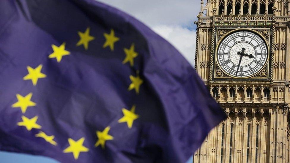 Parliament and EU flag