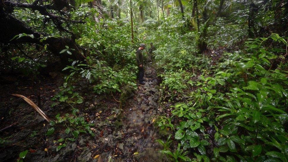 Indonesian members of the JRSCA (Javan Rhino Study and Conservation Area) inspecting the forest inside Ujung Kulon National Park