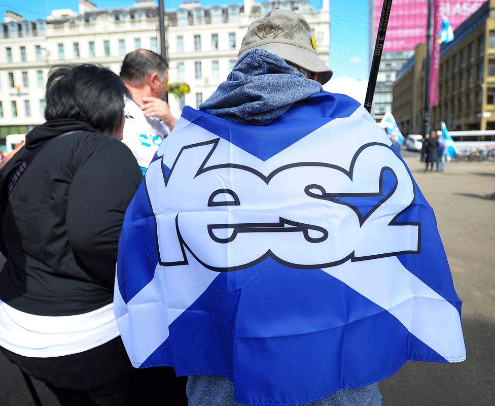 Yes 2 saltire flag